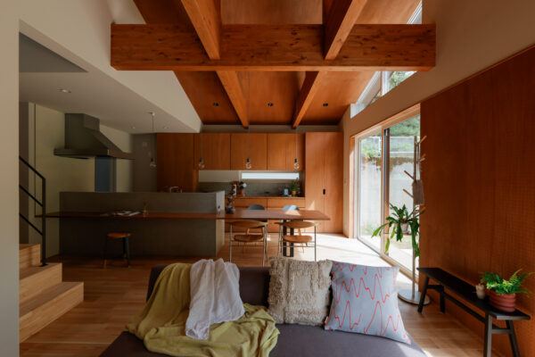 HOUSE_41