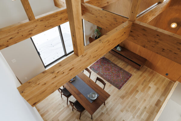 HOUSE_49